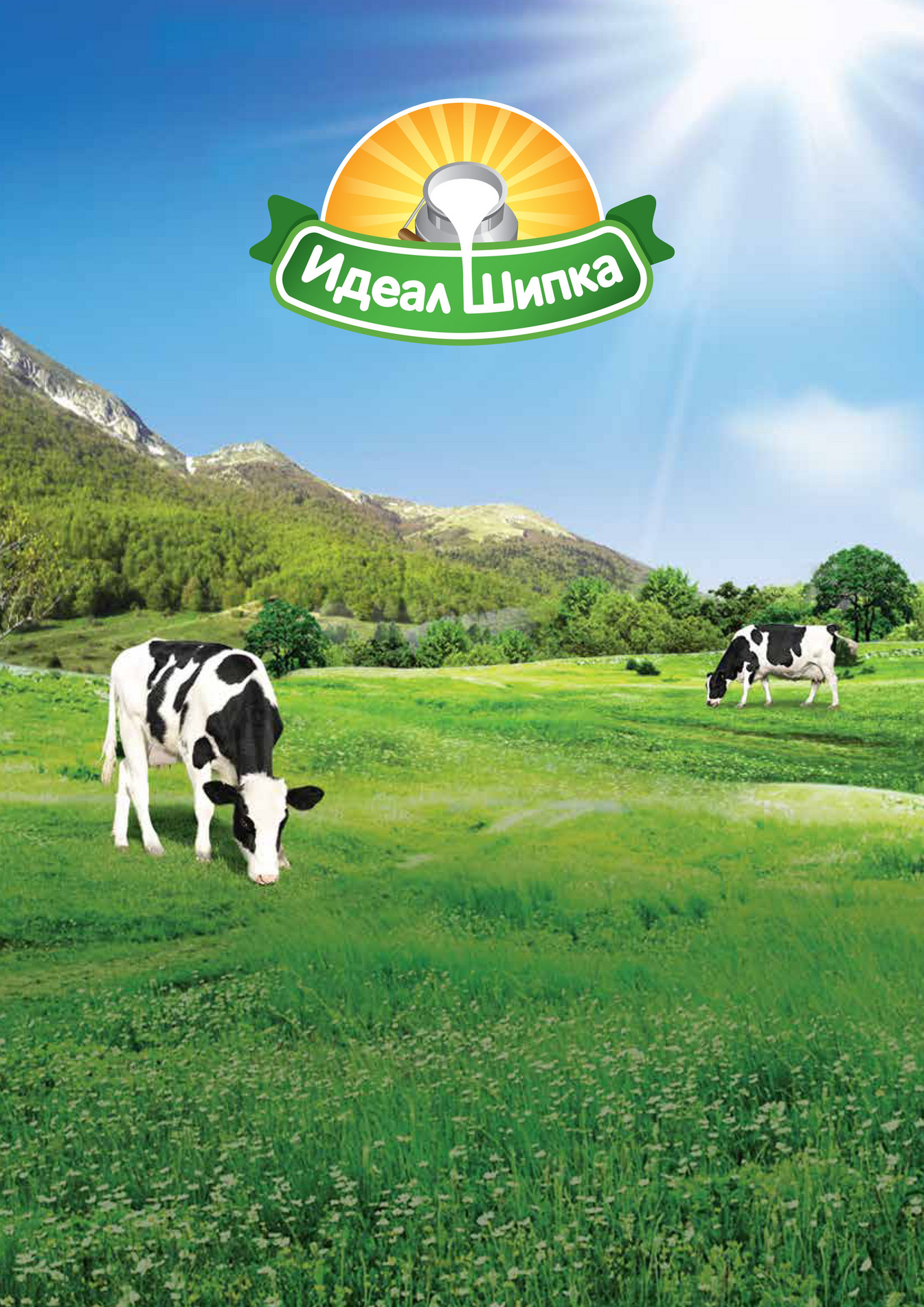 Total Communication SKP 1. Ideal Shipka Distributerski Katalog