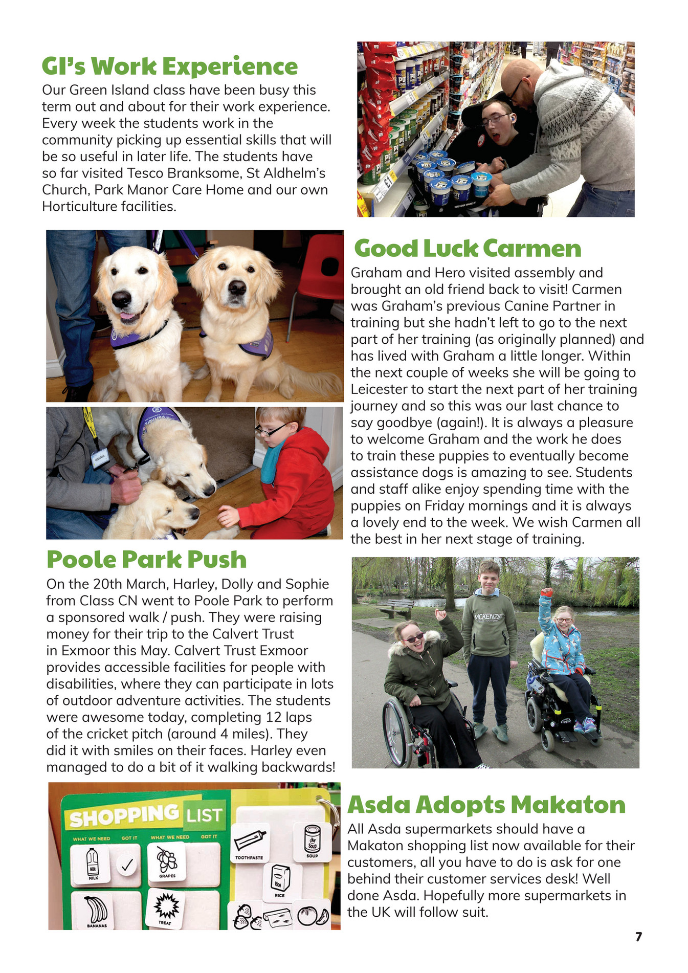 dog toothpaste tesco