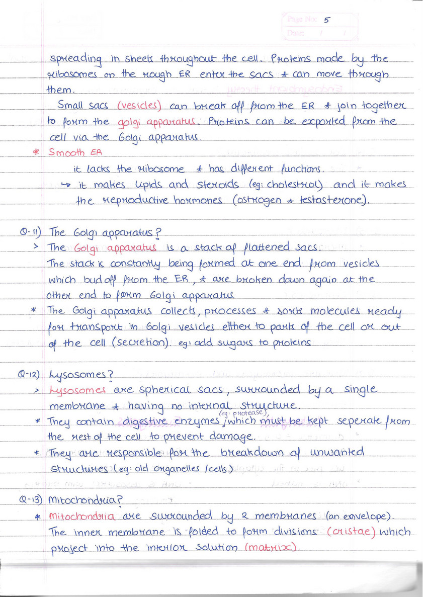 Saoud As Level Biology Notes Page 4 5 Created With Publitas Com