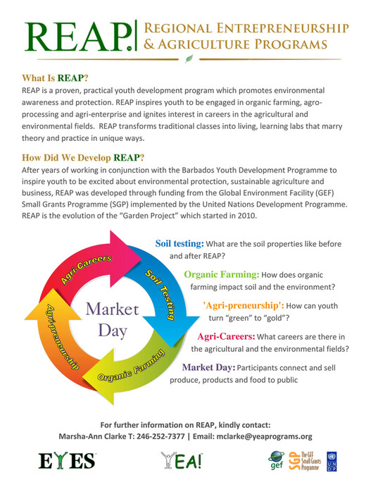 REAP Information - Page 1 - Created with Publitas.com