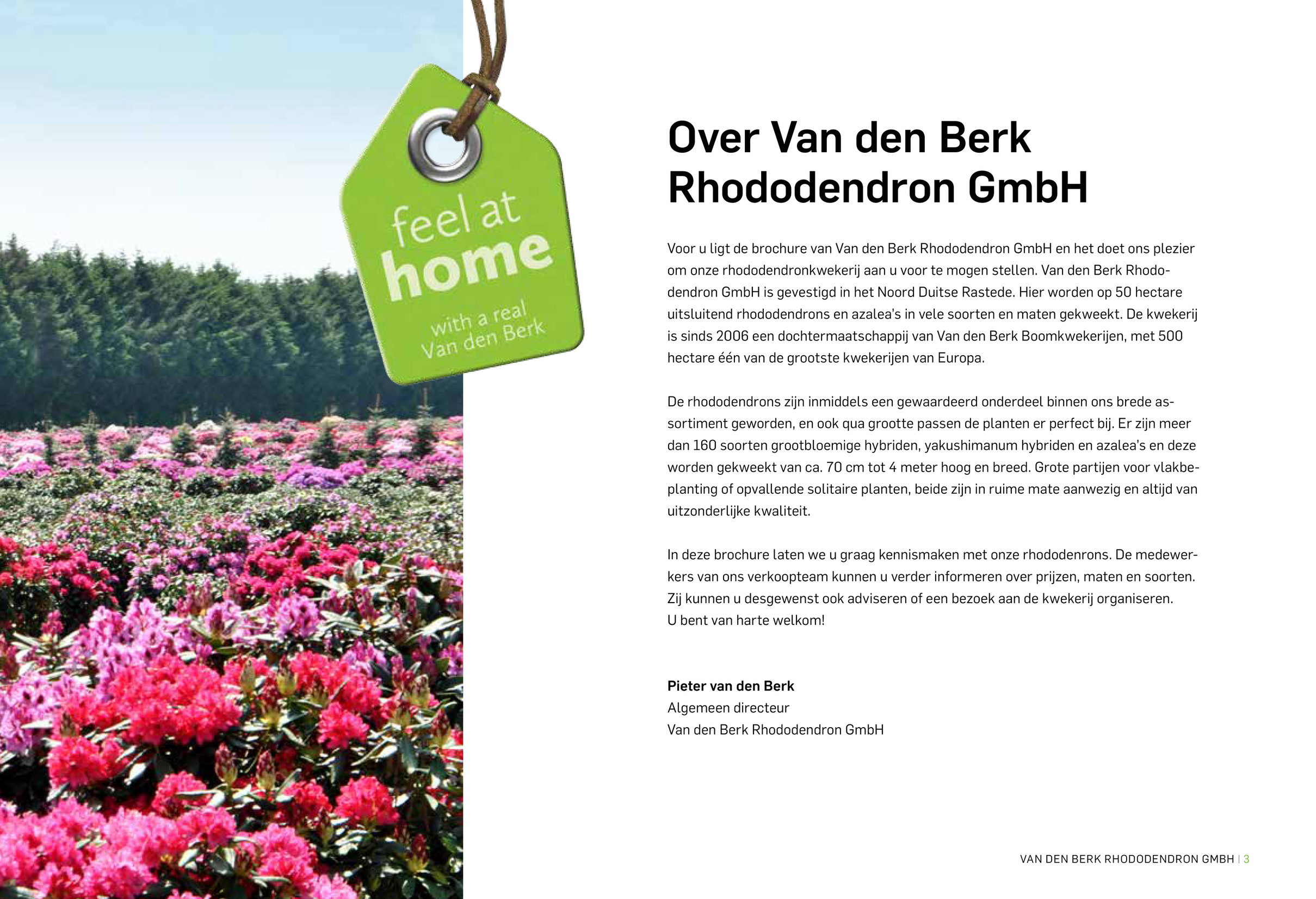 Van den berk Boomkwekerijen - rhodogids_nl - Pagina 1 - Gemaakt met  Publitas.com