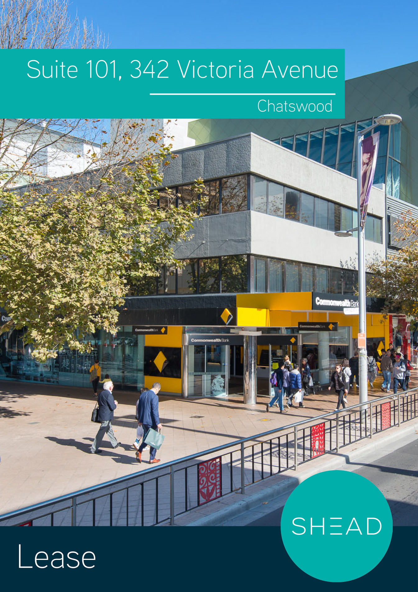 17 305 victoria avenue chatswood