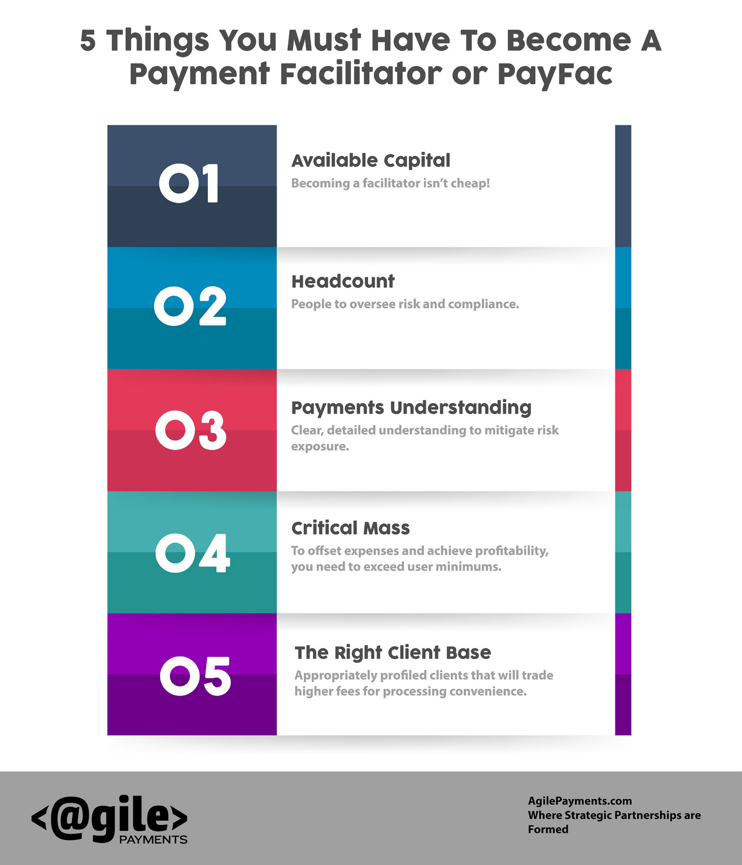 tamm-5-things-you-need-to-become-a-payment-facilitator-page-1