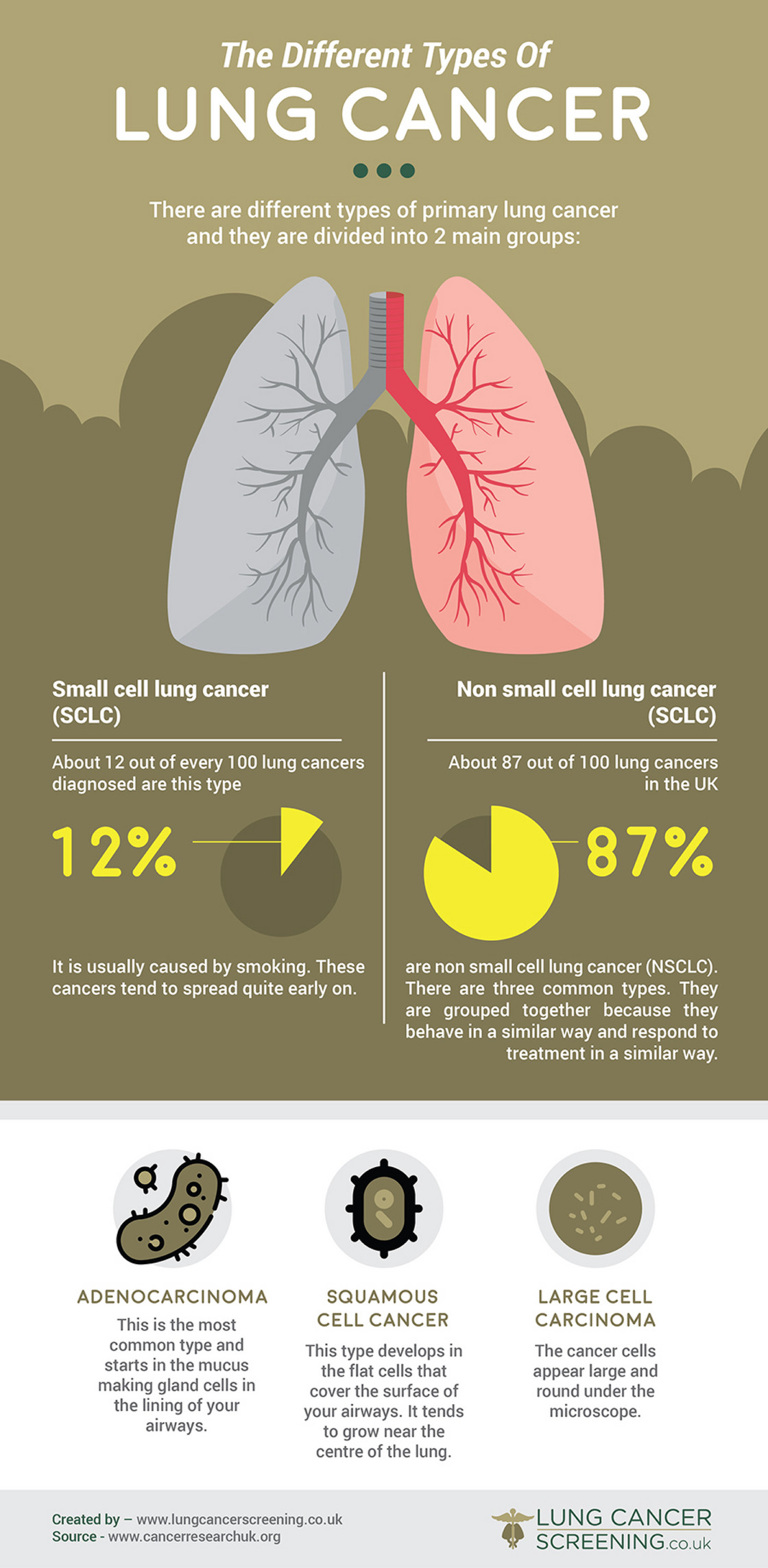 My Publications The Different Types Of Lung Cancer Page 1 Created