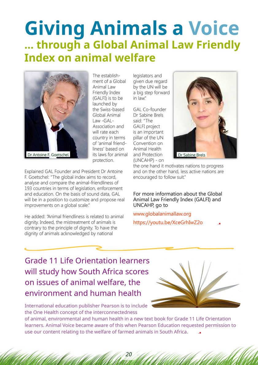 My publications - Animal-Voice--November--2020 - Page 20-21 - Created with  