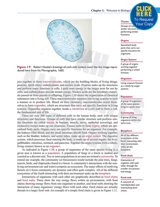 Kendall Hunt Publishing - Essential Biology_An Applied Approach - Page ...