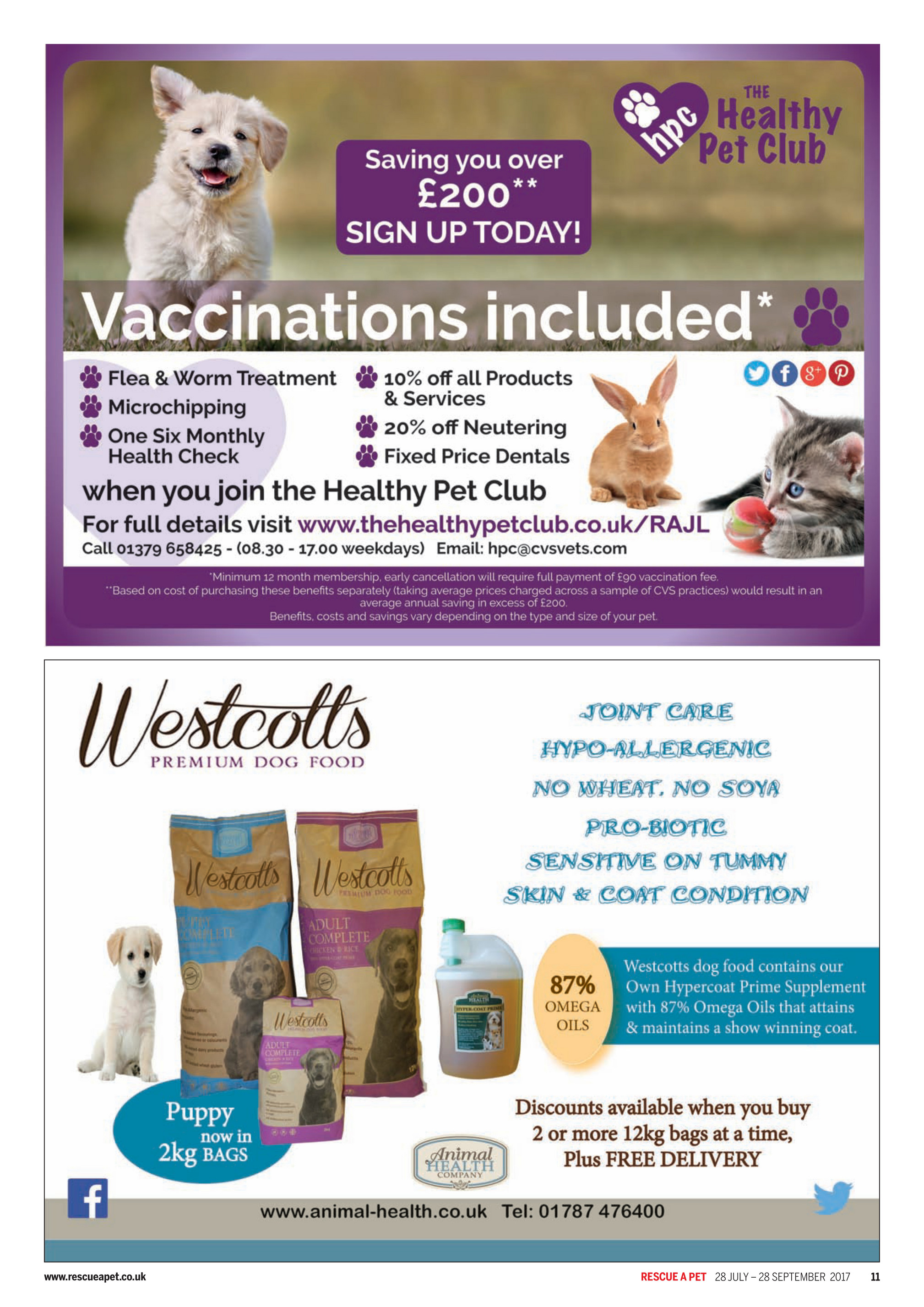 front lead harness petsmart