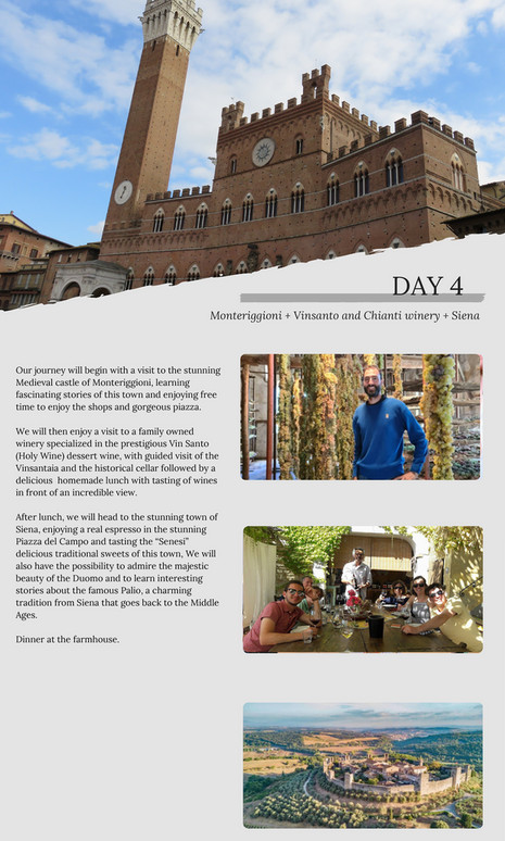 My publications - Fall in Tuscany 2 - Olive Harvest and Chestnuts ...