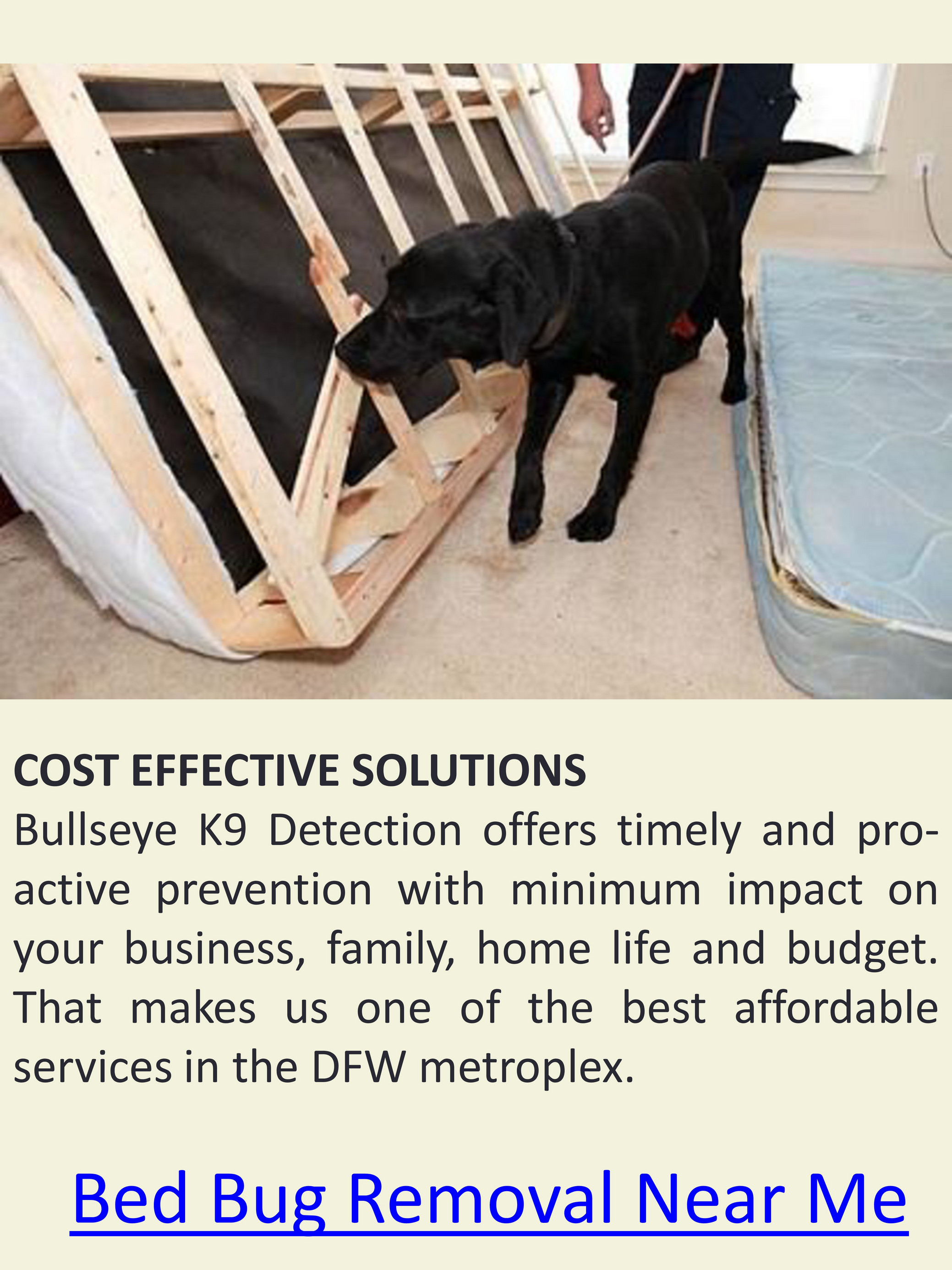 bed bug dogs near me