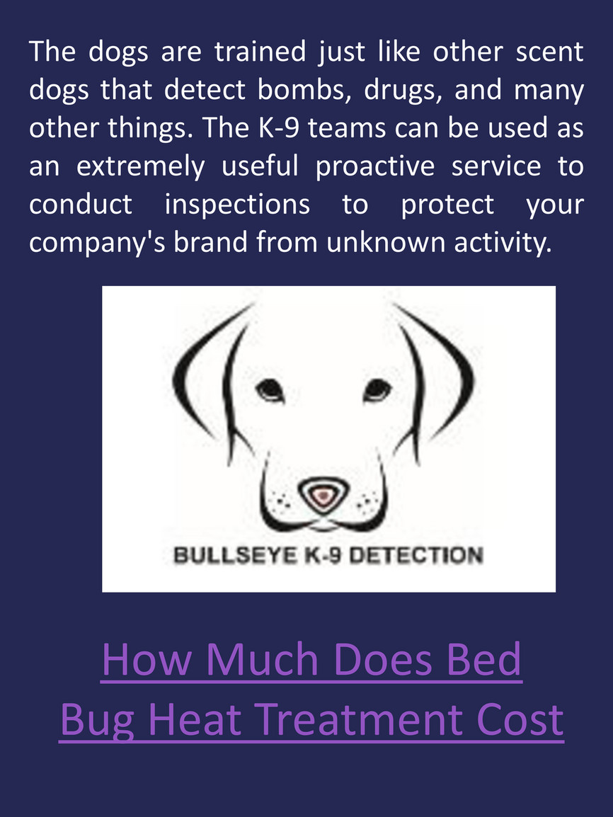 bed bug dogs near me