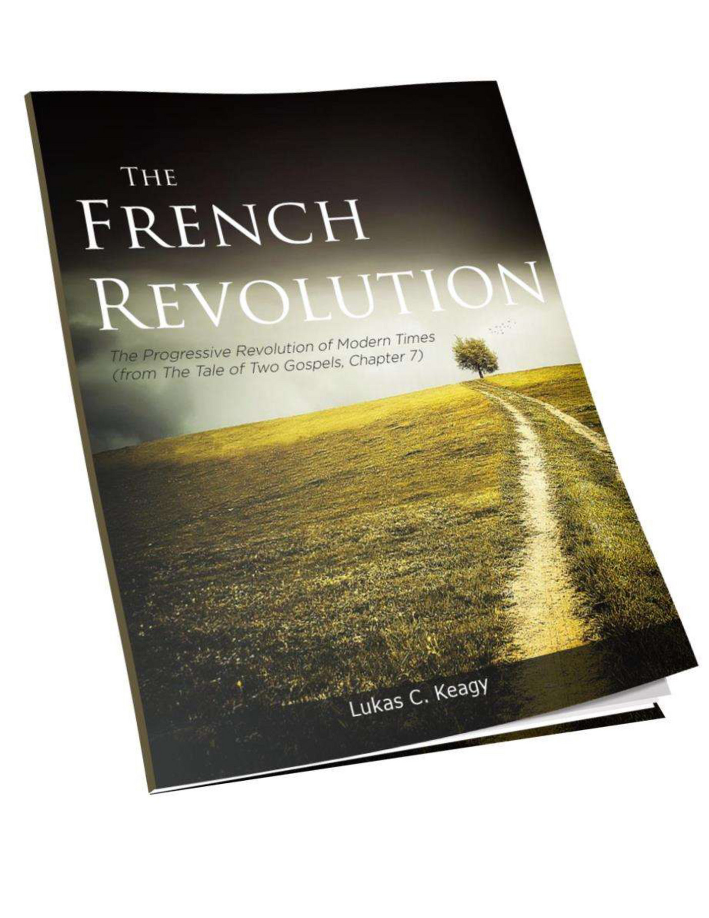 My publications - The French Revolution (From the Tale of Two Gospels ...