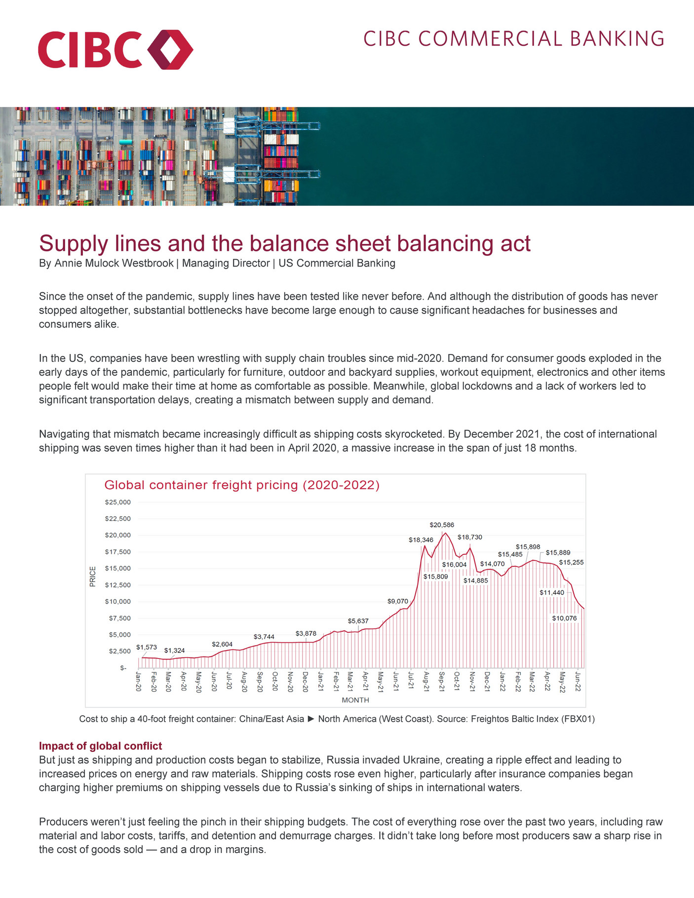 advance to suppliers in balance sheet