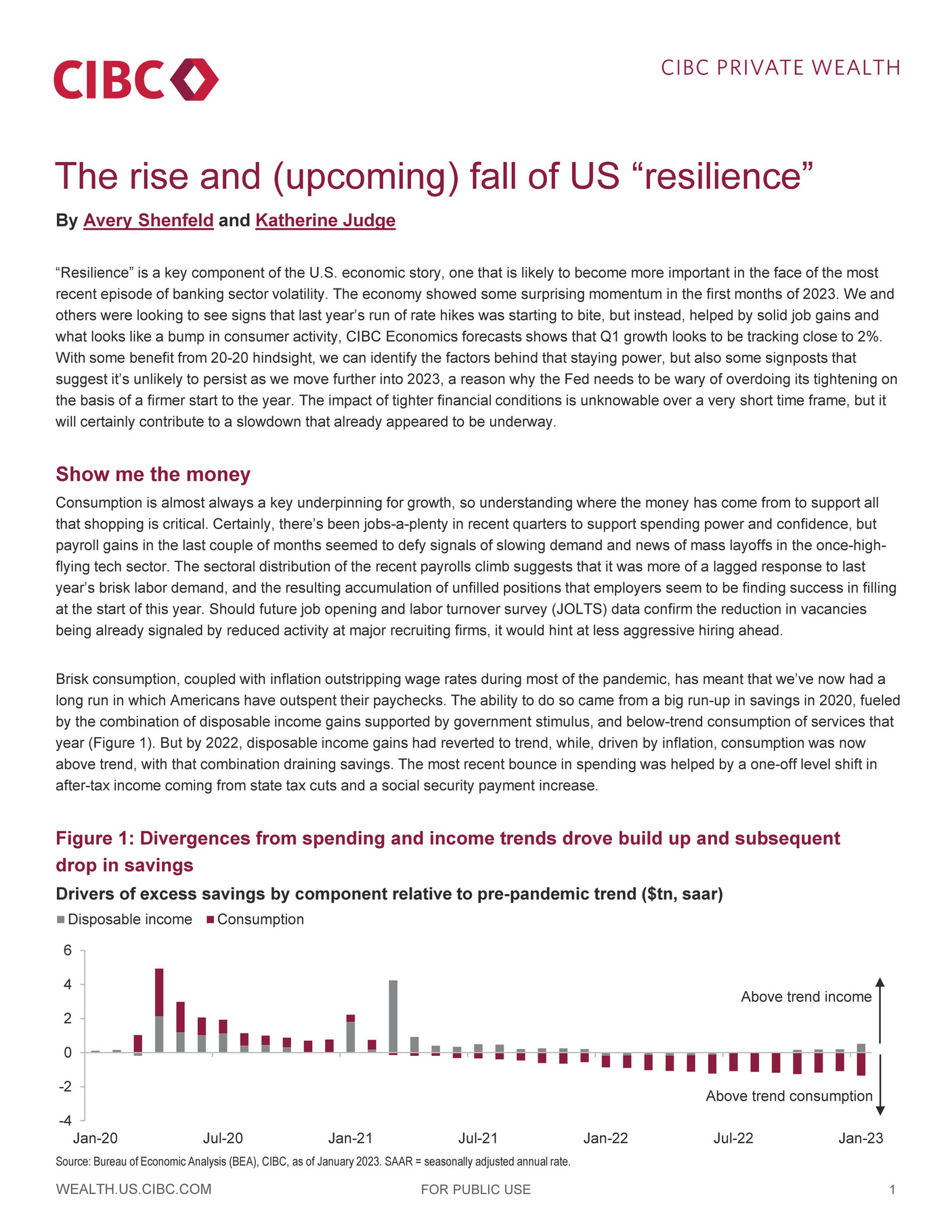 CIBC Private Wealth Management - The Rise And (upcoming) Fall Of US ...