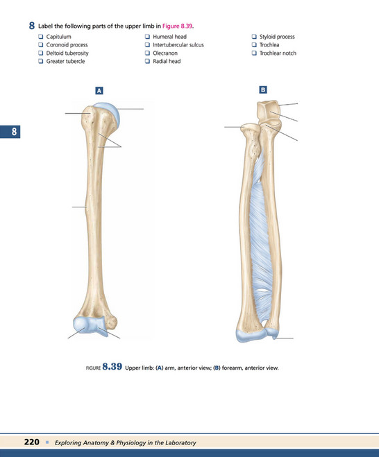 My publications - Exploring Anatomy & Physiology in the Laboratory 3rd ...