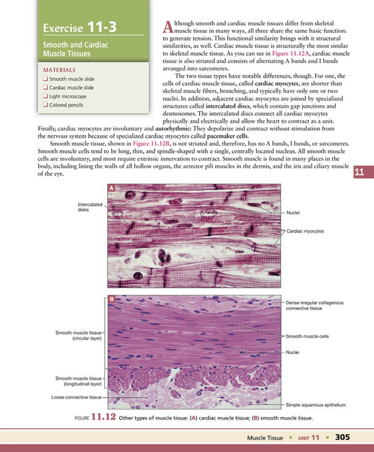 Mascular Tissues Notes.pdf My publications - Exploring Anatomy & Physiology in the Laboratory 3rd ...