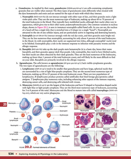 My publications - Exploring Anatomy & Physiology in the Laboratory 3rd ...