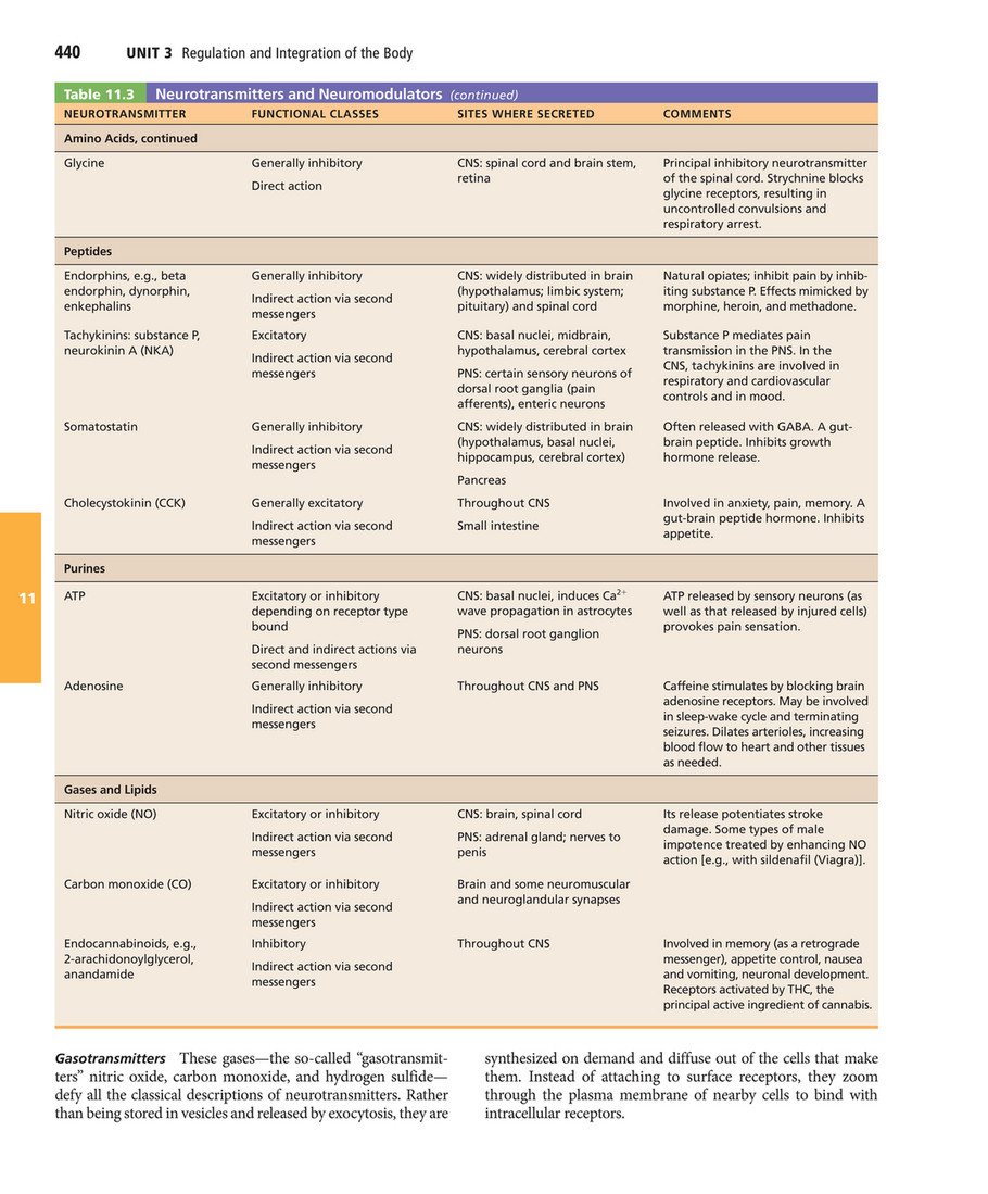 neurotransmitters chart