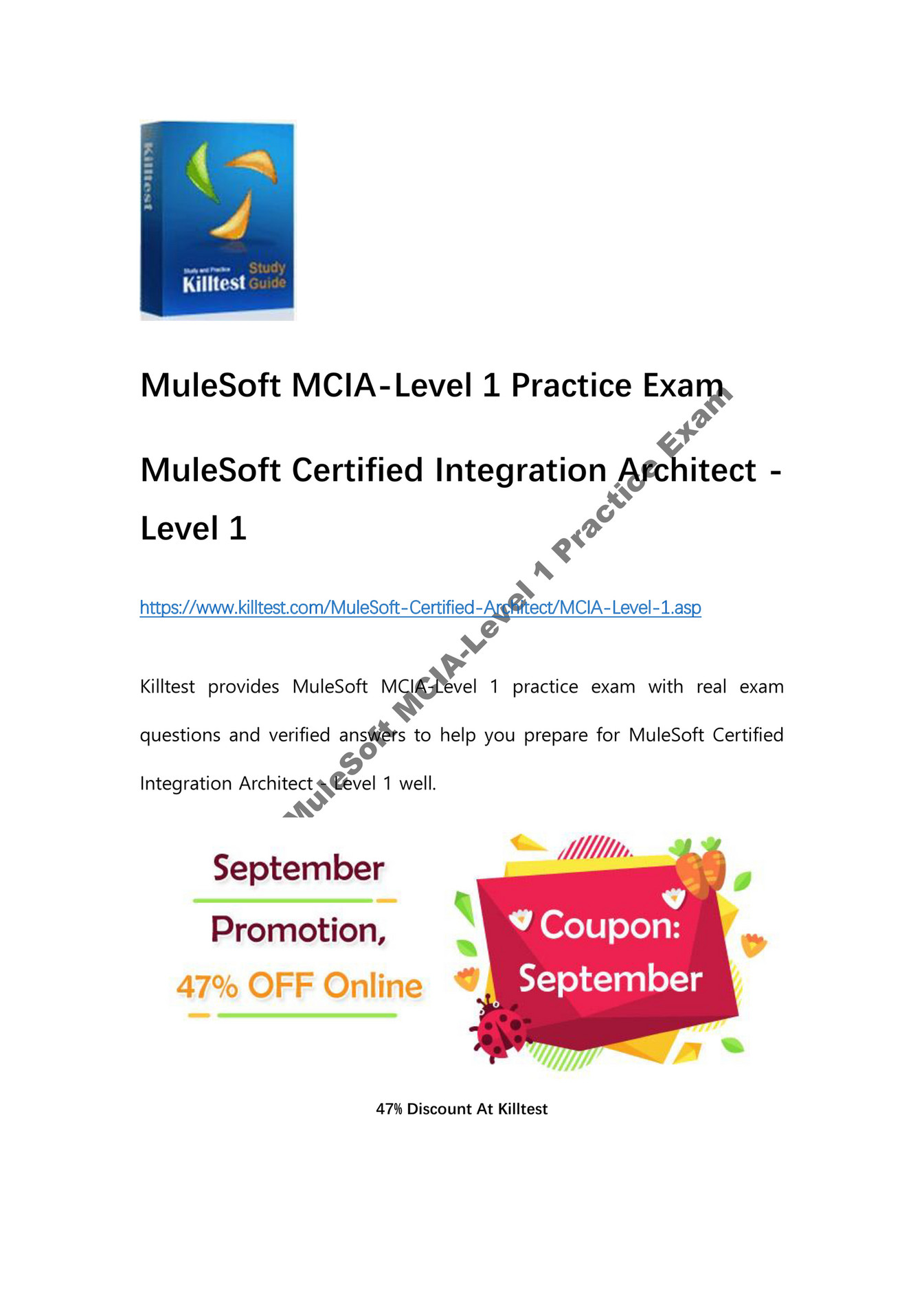 Exam MCIA-Level-1-Maintenance Exercise