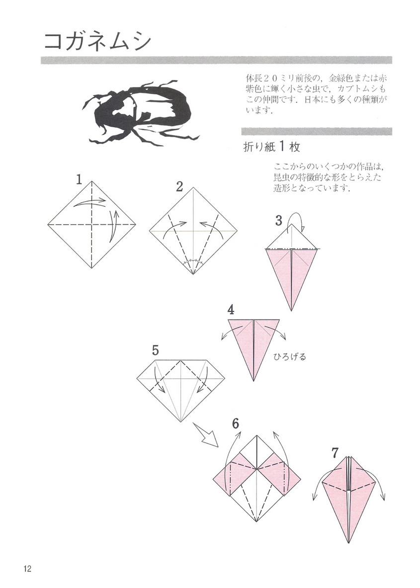 Oriflame Origami Beetles Of The World Origami Page 12 13 Created With Publitas Com