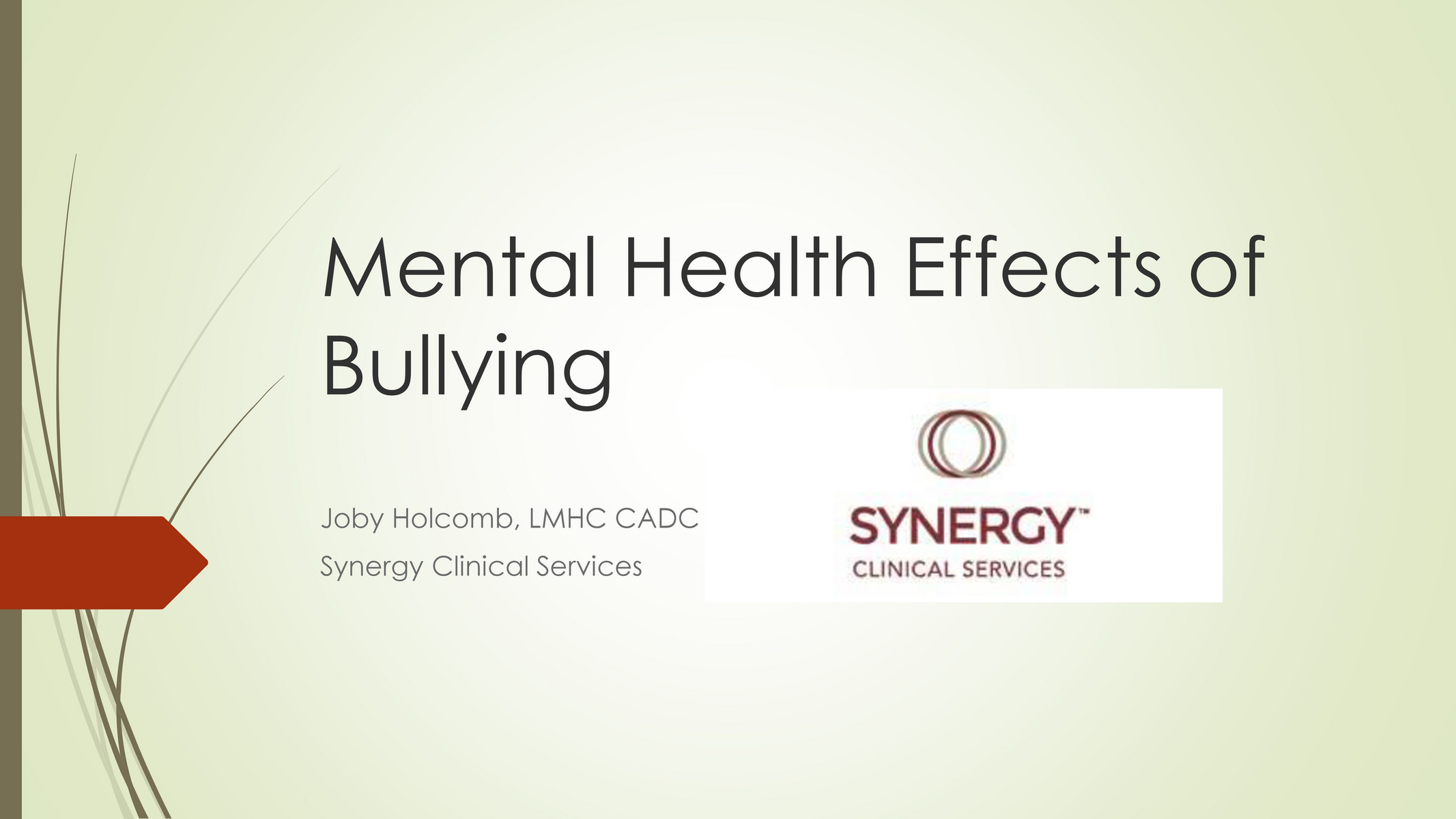 effects of bullying on mental health essay