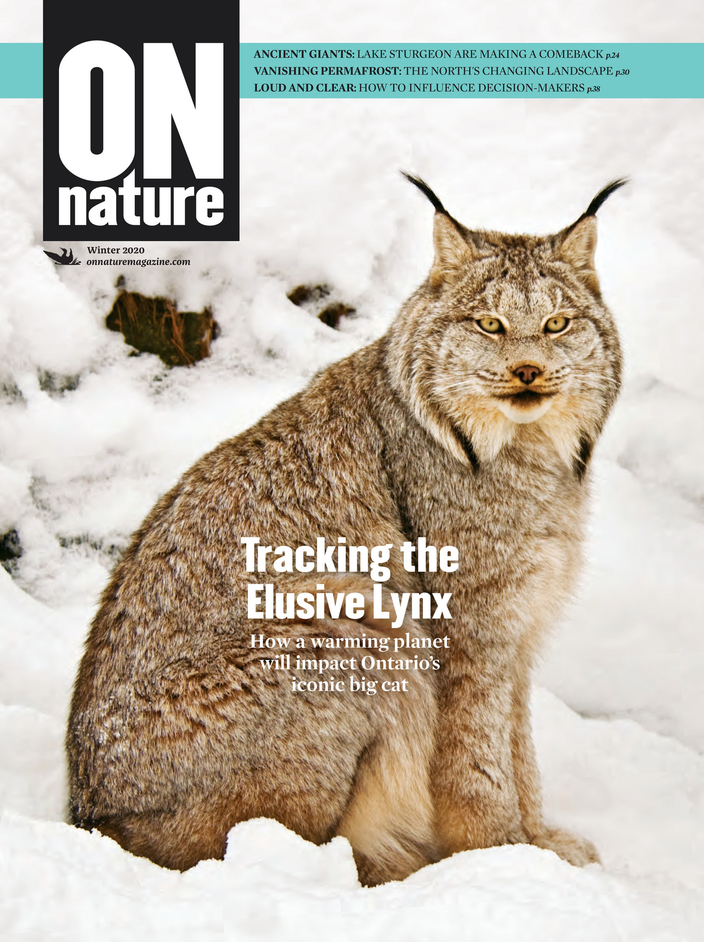 ON Nature Magazine - Winter 2020 - Page 12-13