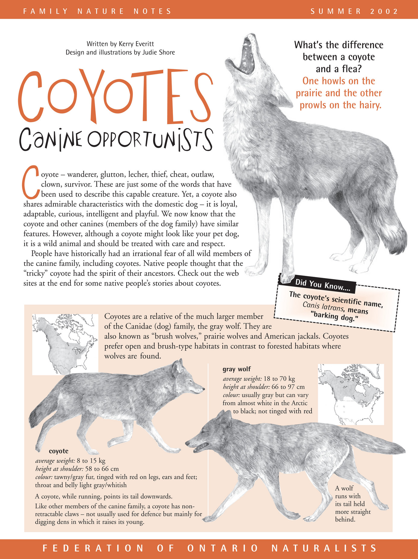 ON Nature magazine - 2002-summer-coyotes - Page 2-3