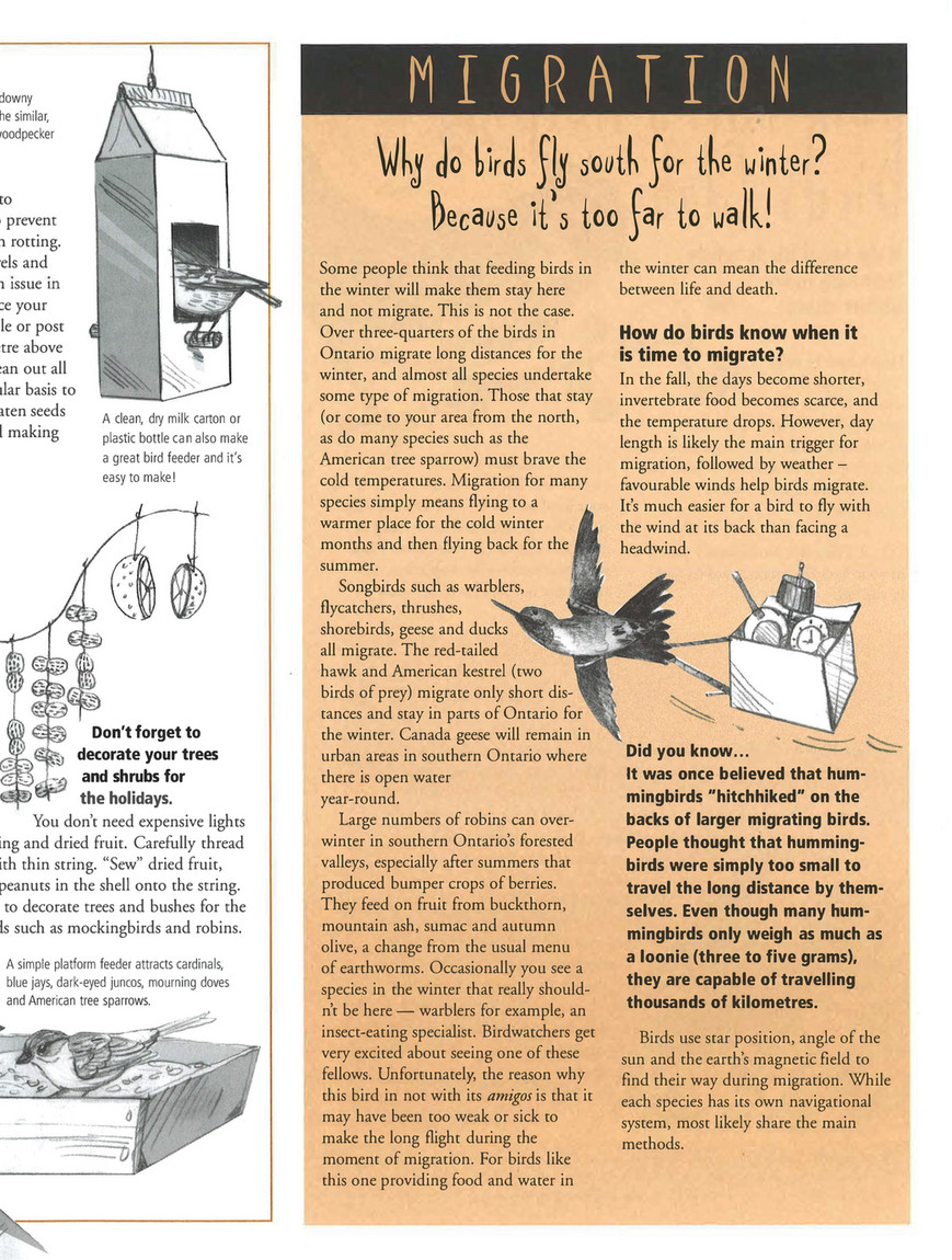 Bird Feeders Nature Notes Page 1