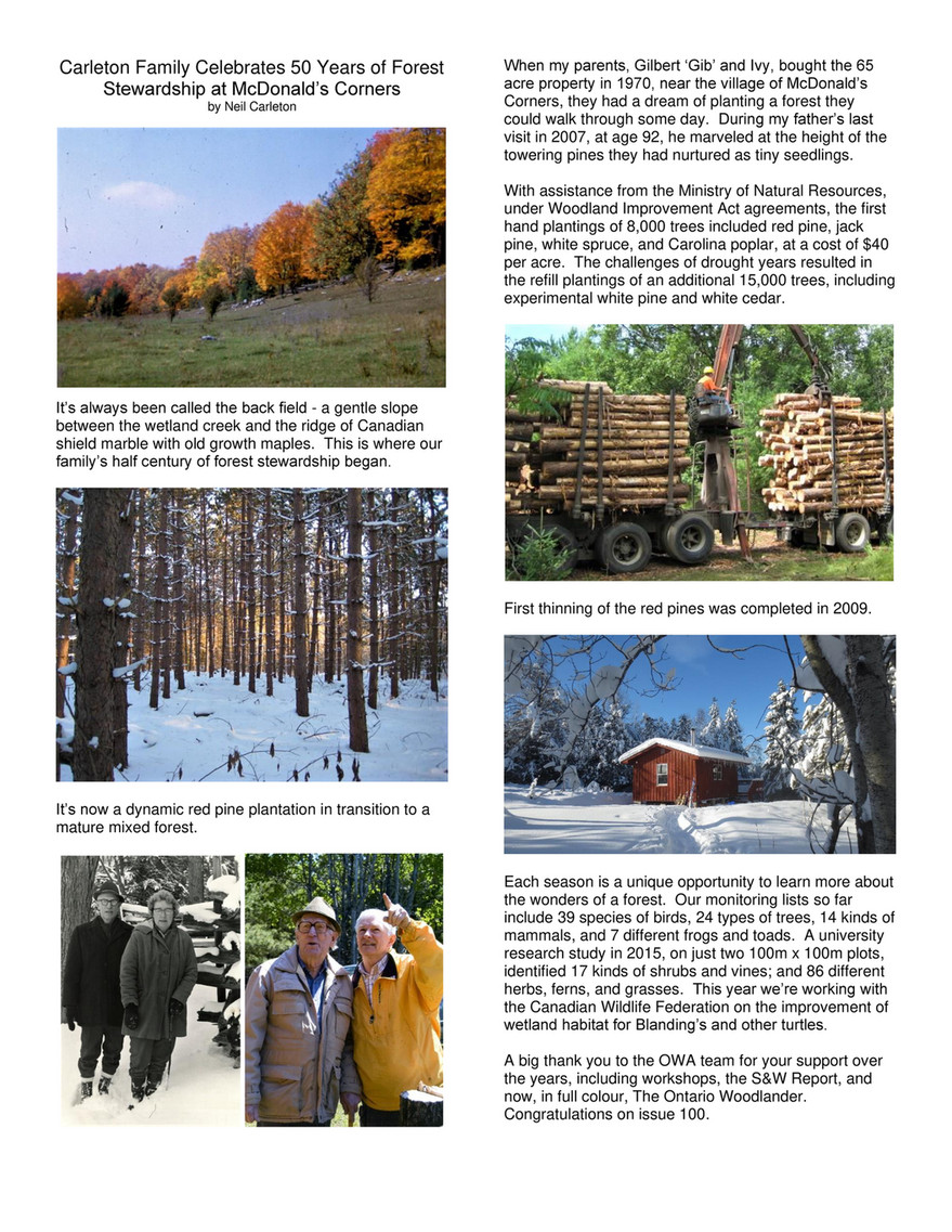 White Pine  Natural Resource Stewardship