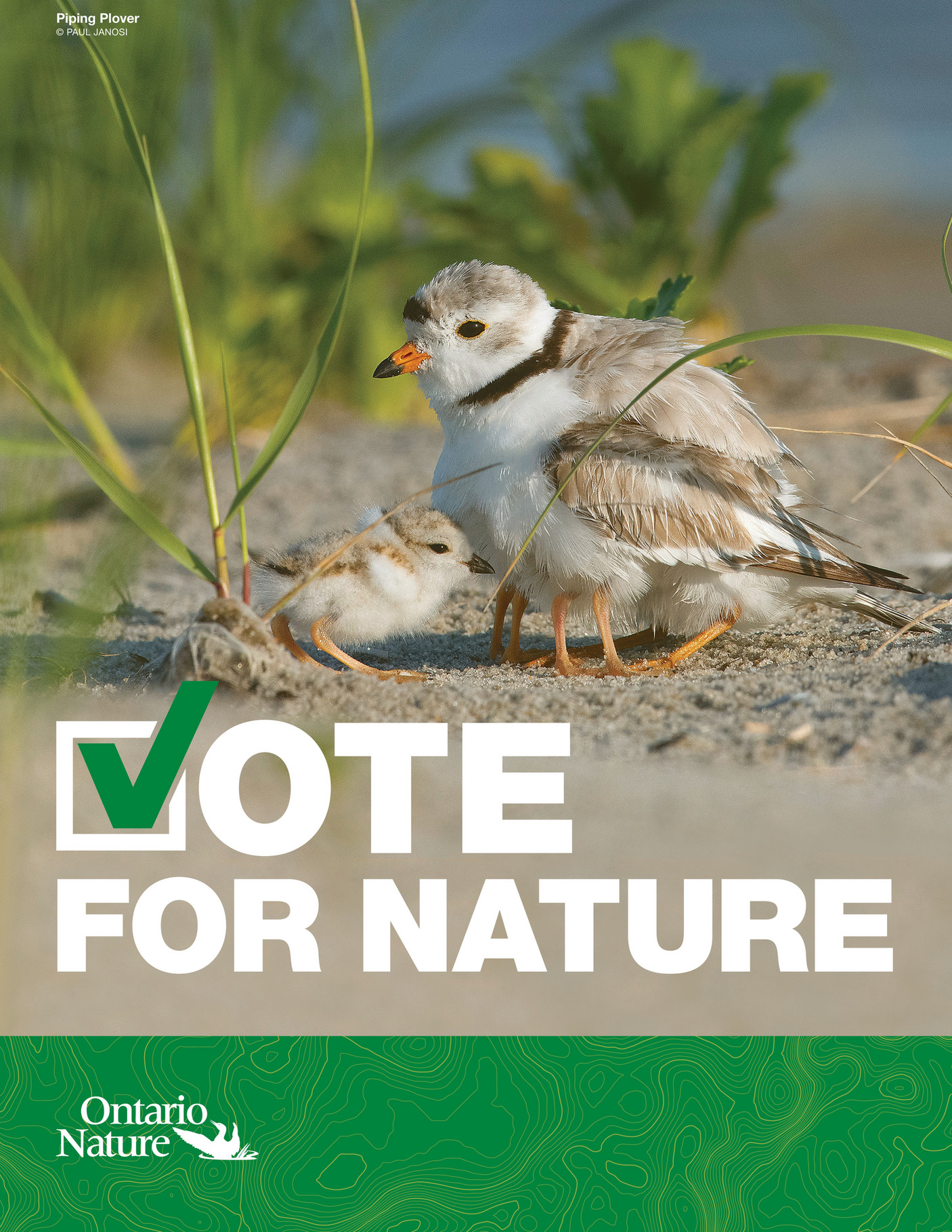 ON Nature Magazine Vote For Nature Page 2 3