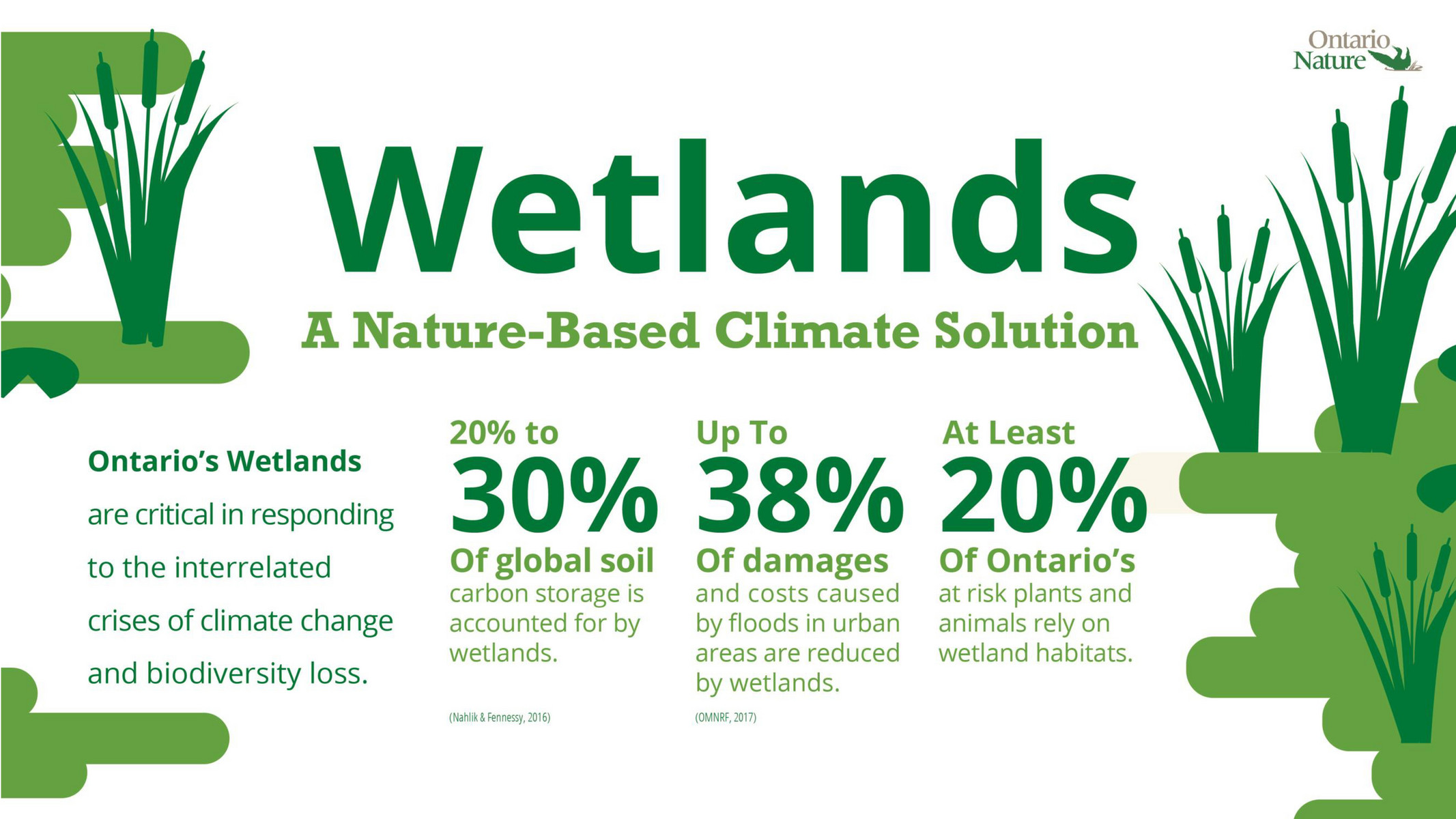 Wetlands Infographic - Page 1