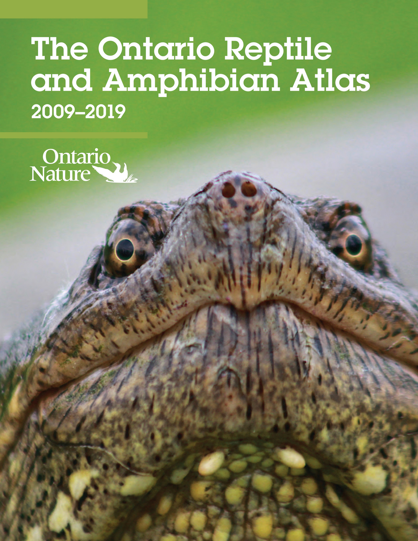 Ontario reptile and amphibian atlas publication page 92 93