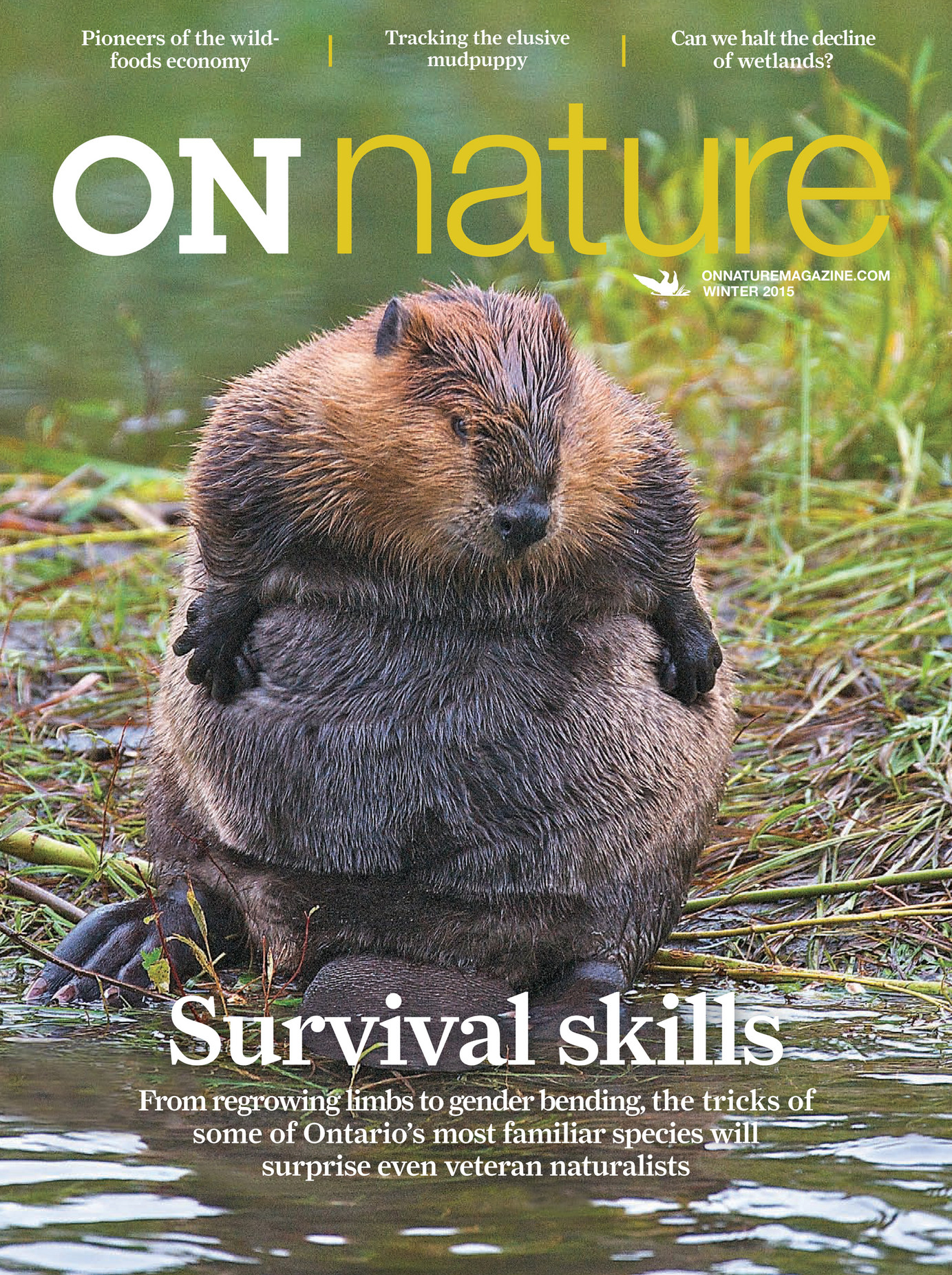 ON Nature magazine - Winter_2015 - Page 22-23