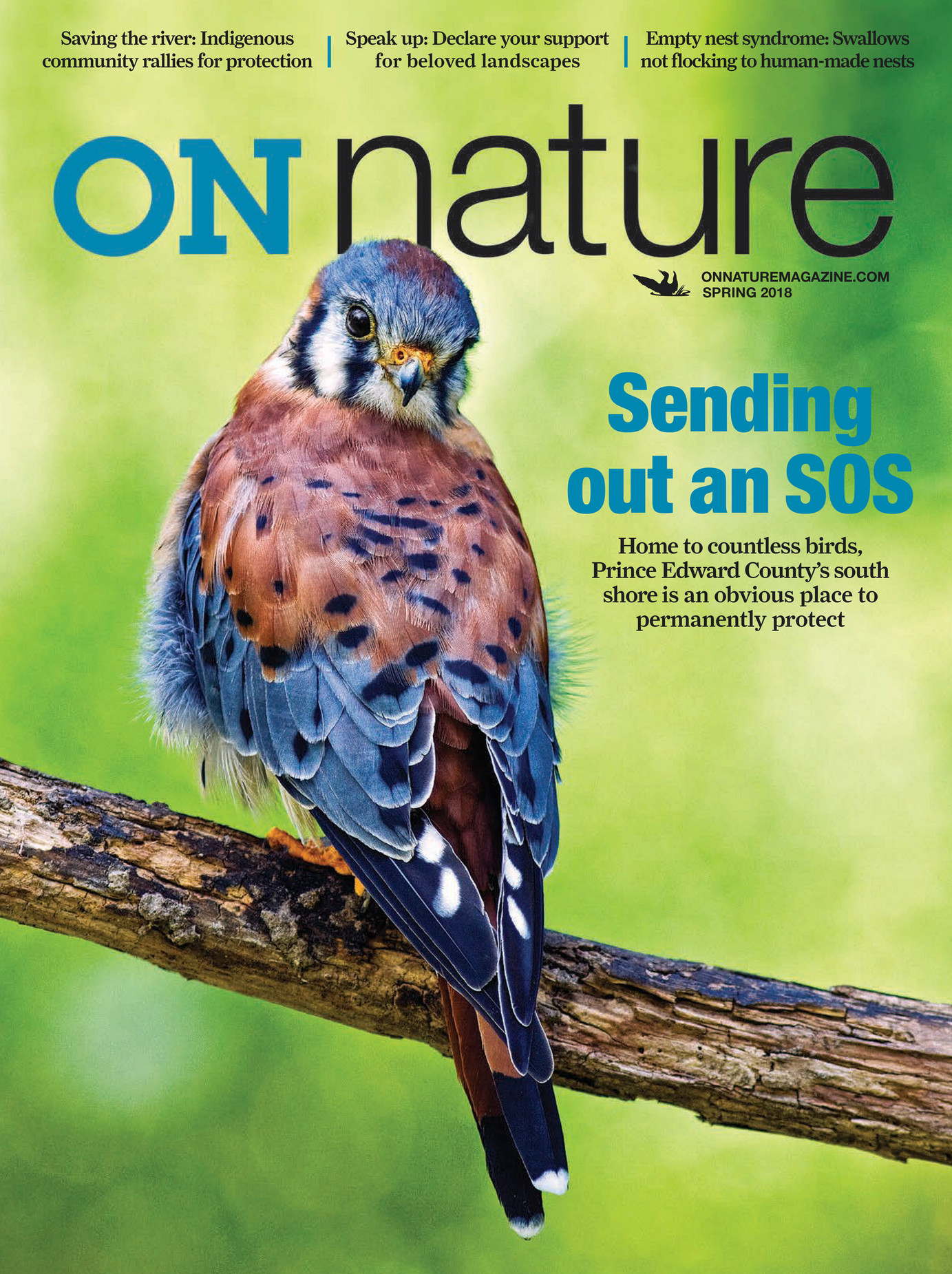 ON Nature magazine - Spring 2018 - Page 38-39