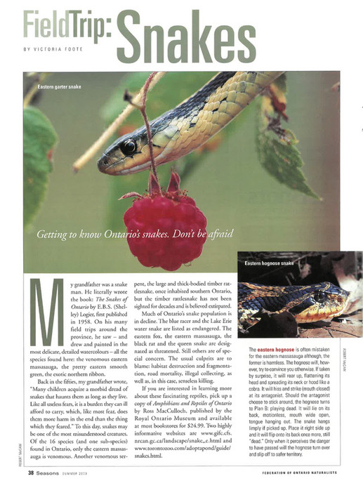 ON Nature magazine - Summer_2003 - Page 38-39