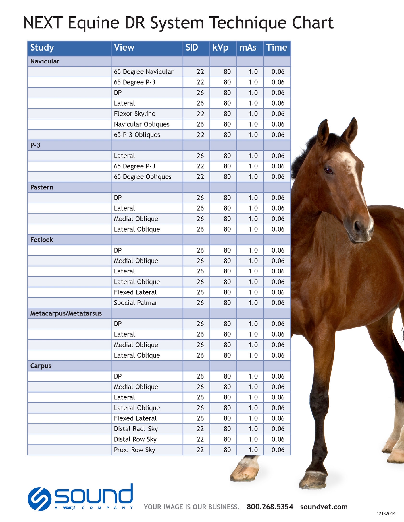 DLC Vet Pty Ltd Technique Chart for NEXT Equine DR Page 1 Created
