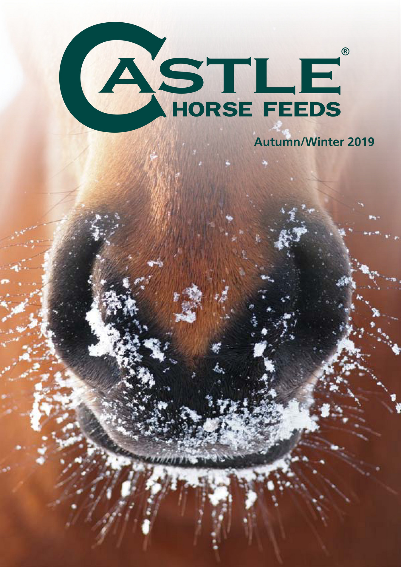 Castle Horse Feeds Castle Horse Feeds Brochure Autumn Winter 2019