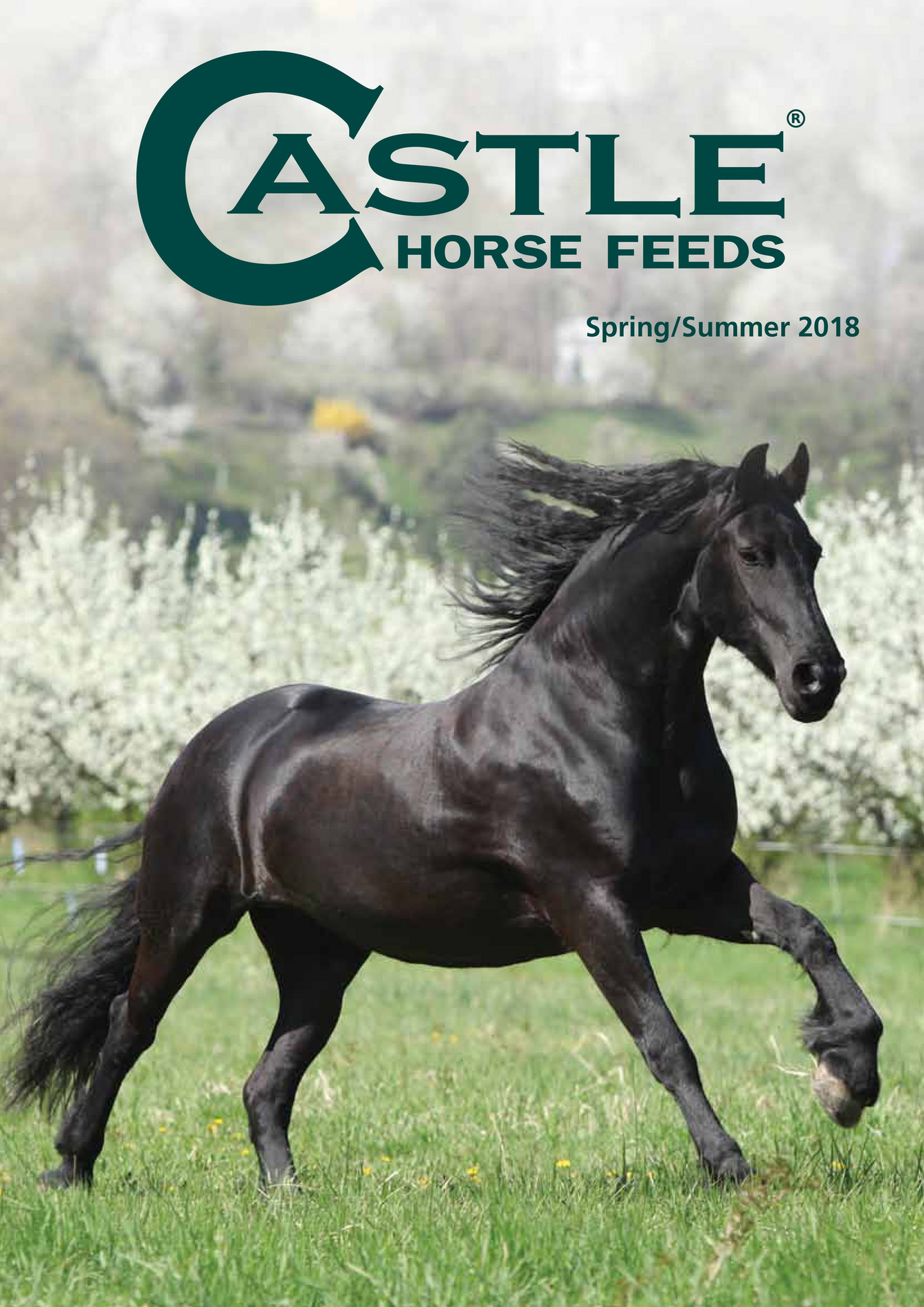 Castle Horse Feeds Castle Horse Feeds Brochure Spring/Summer 2018
