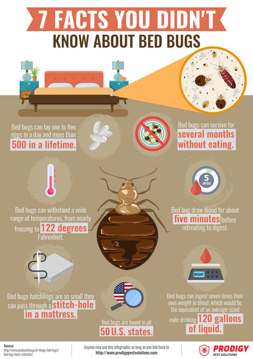 Felicianorton - Bed Bug Infographic - Page 1 - Created with Publitas.com