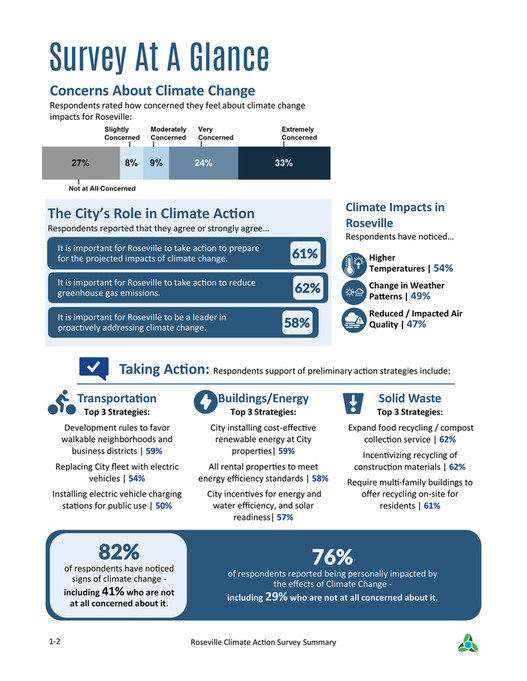 paleBLUEdot - Roseville Input Survey Report - Page 1