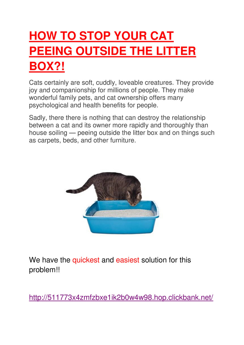 Cats peeing outside the box Telegraph