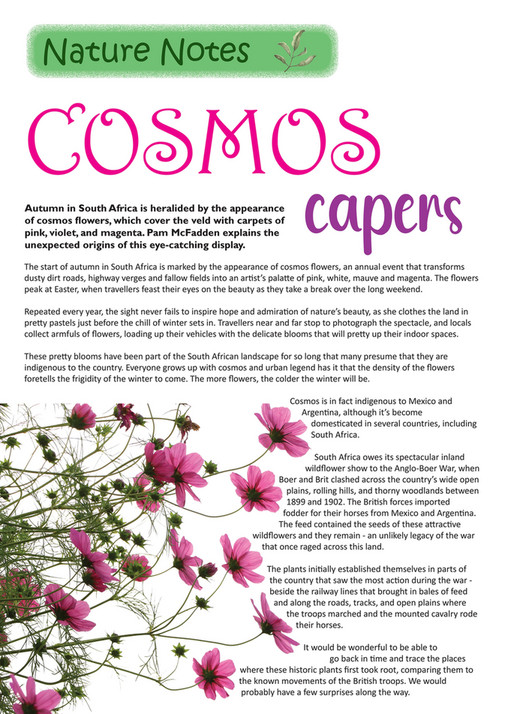 Wild World Books CANNONS COSMOS JAN 2024 Page 12 13 Created With   375759a9 Be9f 4259 A688 7fa502bbd5e2 At600 