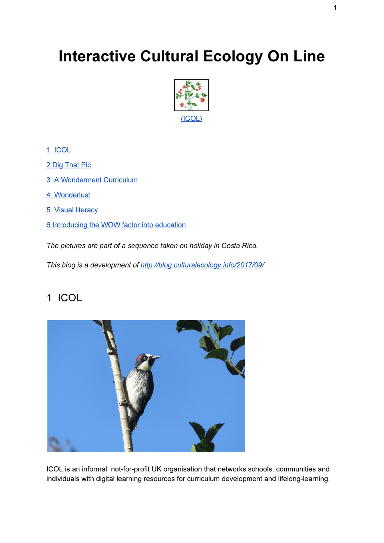 The Ultimate Guide To Understanding Cultural Ecology - imth9f0