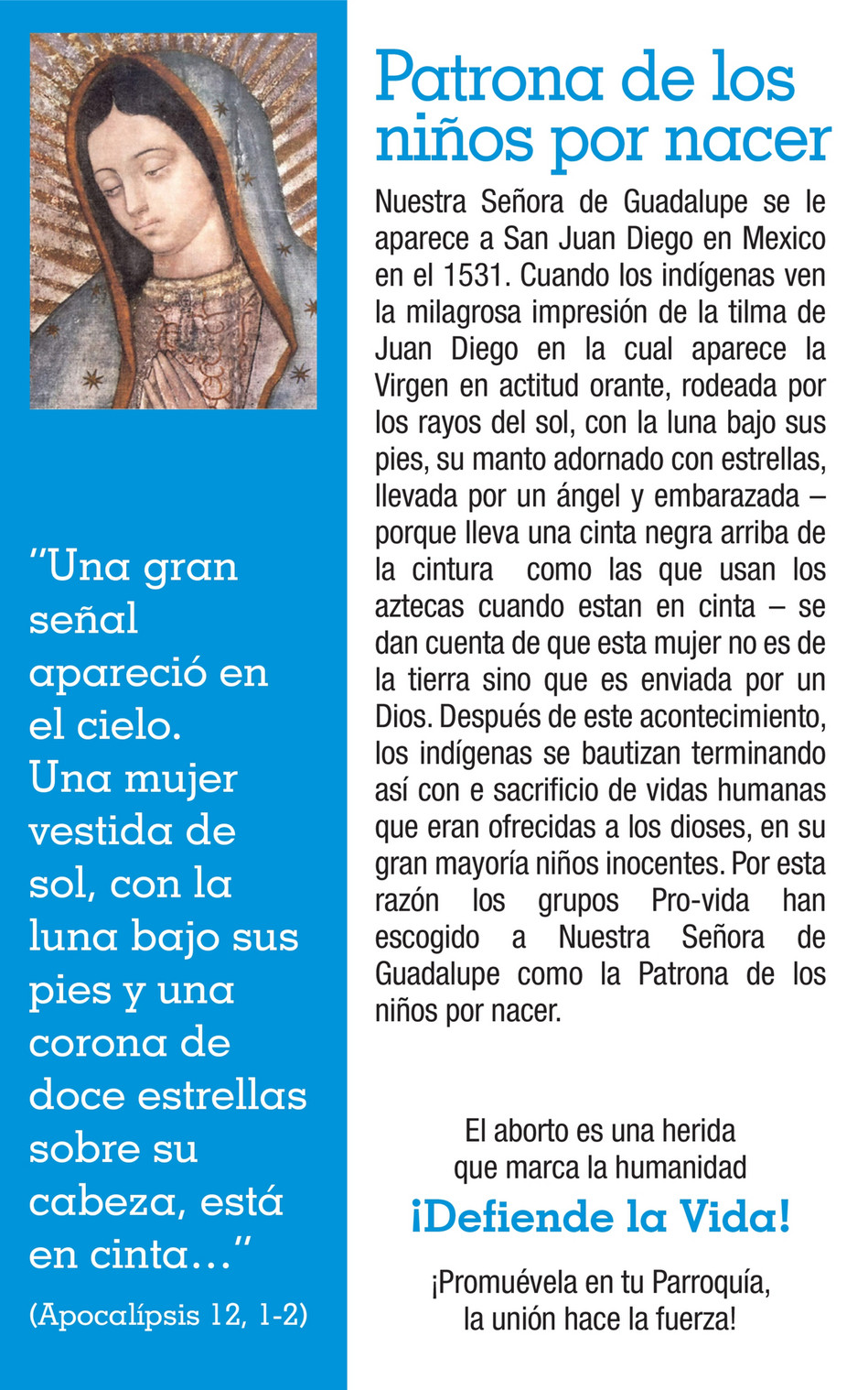 Arquidiócesis de Medellín - Novena a la Vida 2016 - Página 4-5 - Created  with 