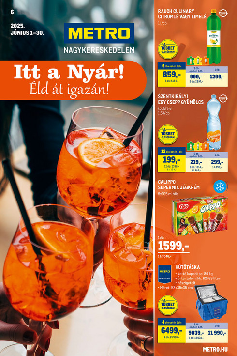 Nyári katalógus 2025/06