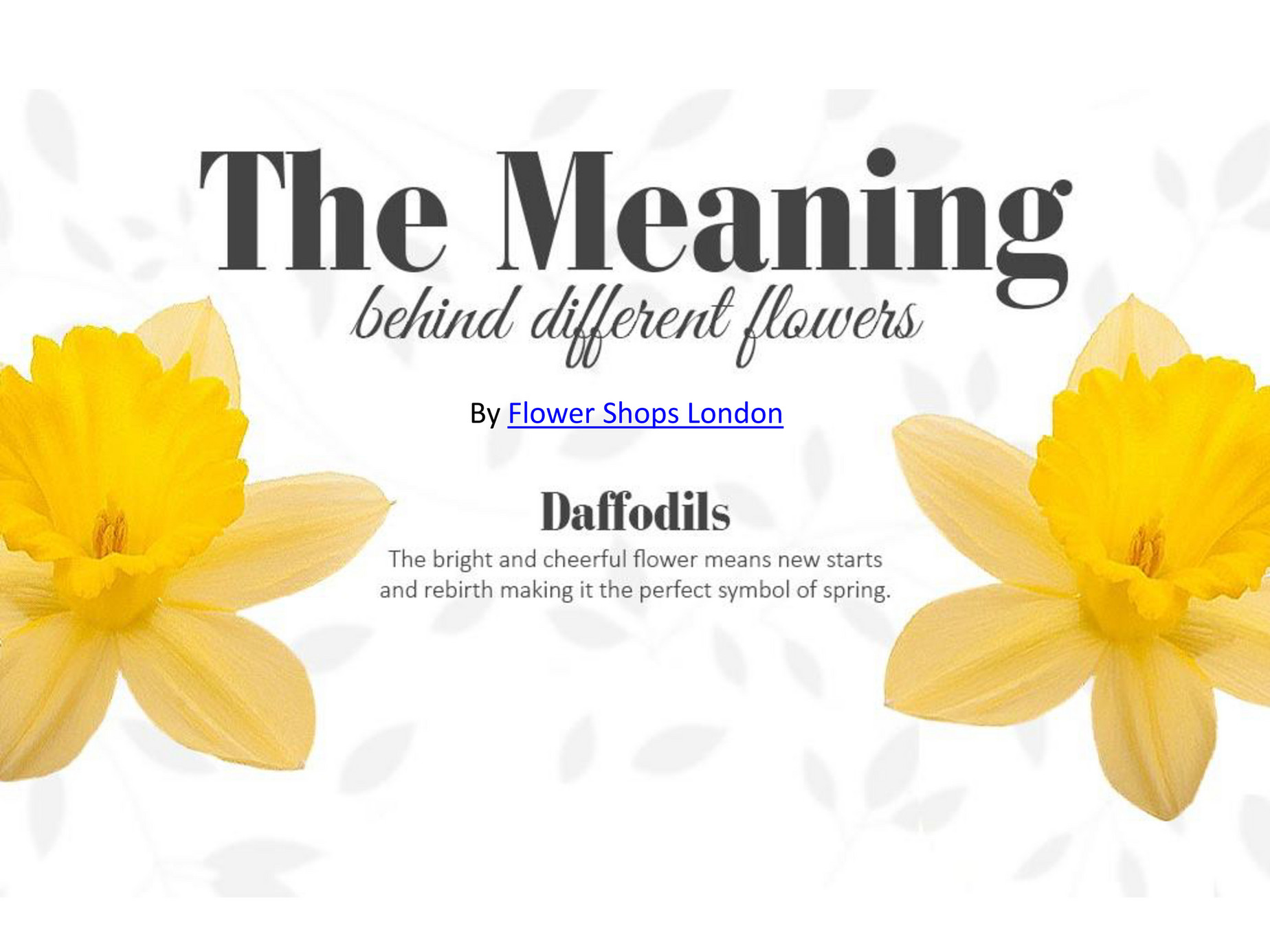 My publications The Meaning Behind Flowers Page 2 Created with