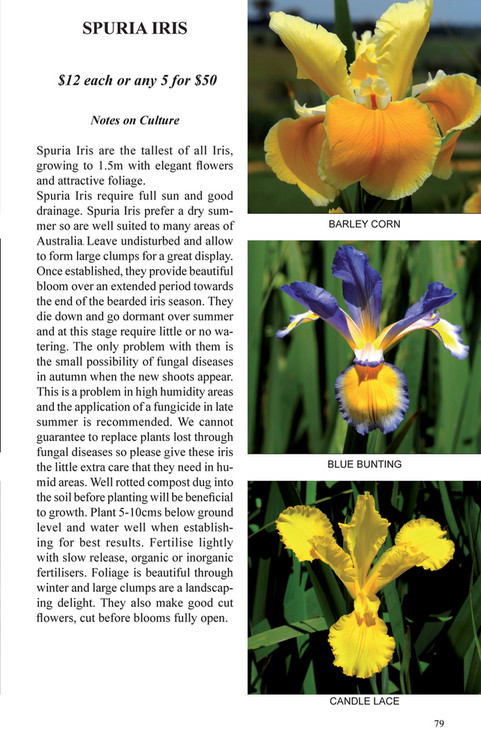 Rainbow Ridge Catalogue 2019 - Page 80-81 - Created with Publitas.com