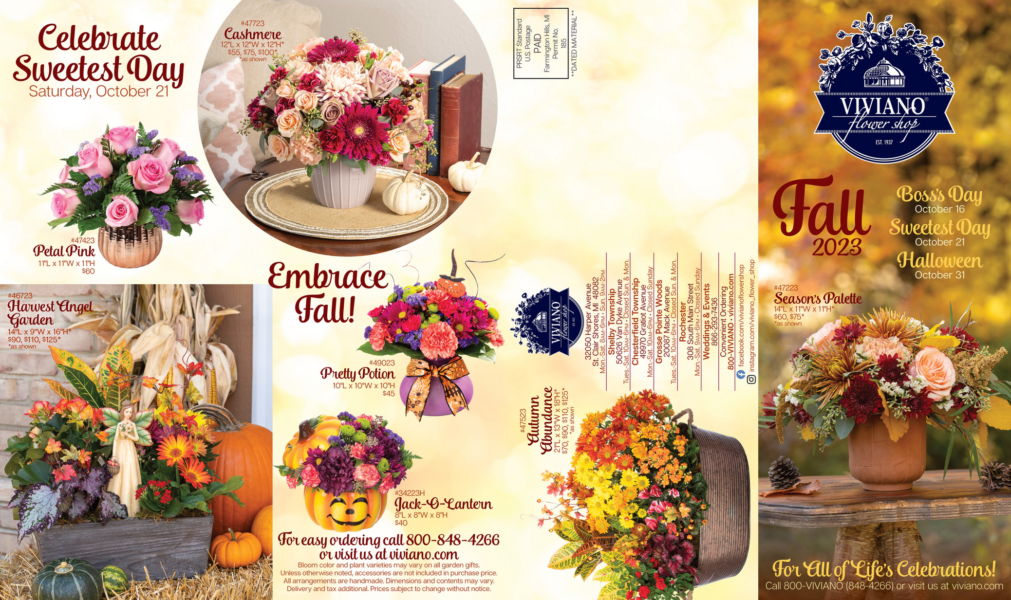 Viviano Flower Shop Fall Catalog 2023 Page 1 Created with