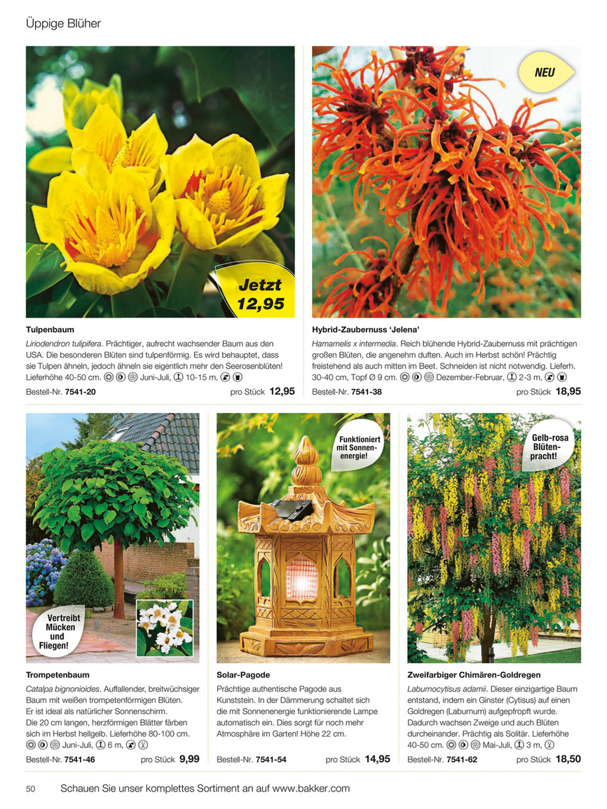 Der Tulpenbaum Die Blutenreiche Pracht Im Garten