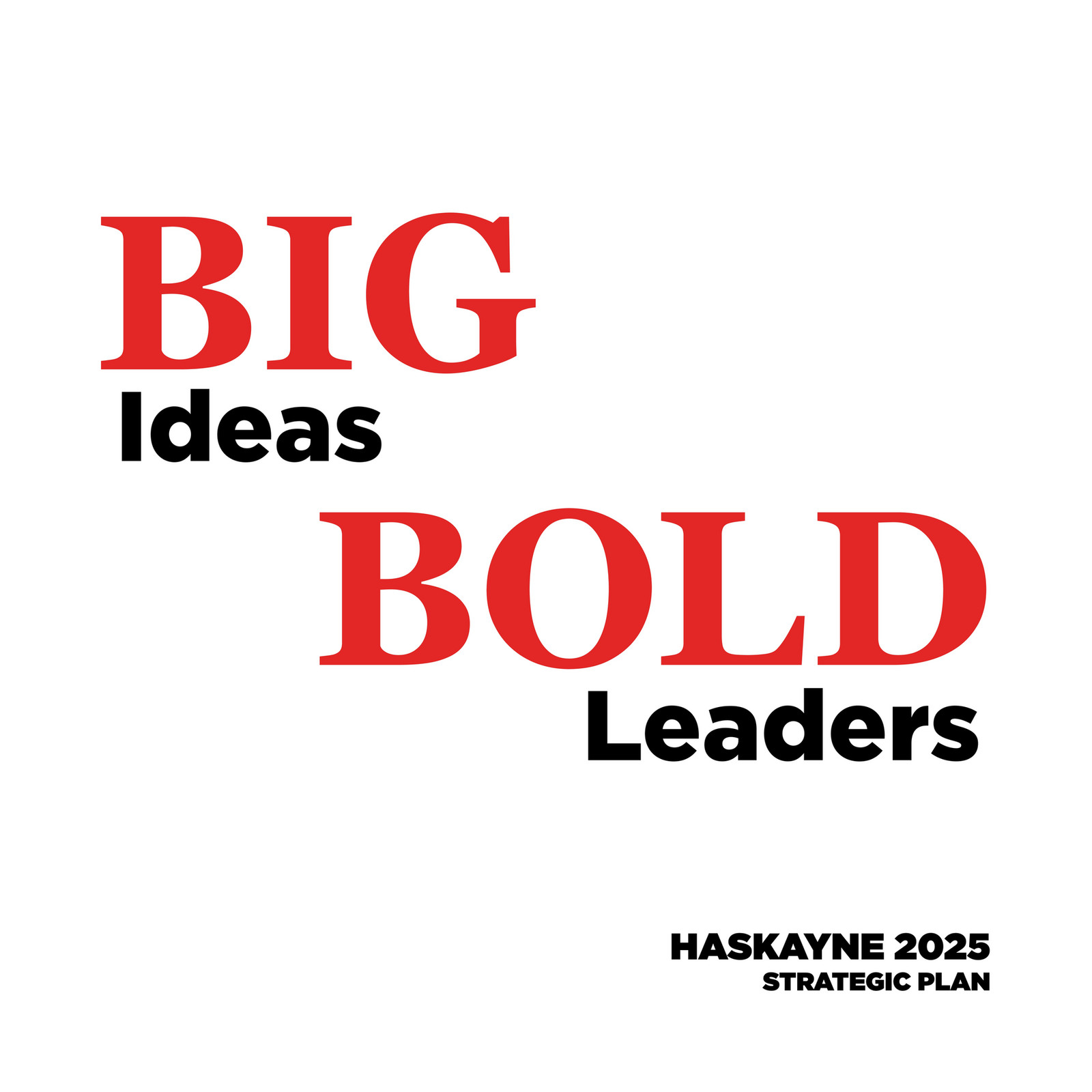 my-publications-big-ideas-bold-leaders-haskayne-2025-strategic-plan