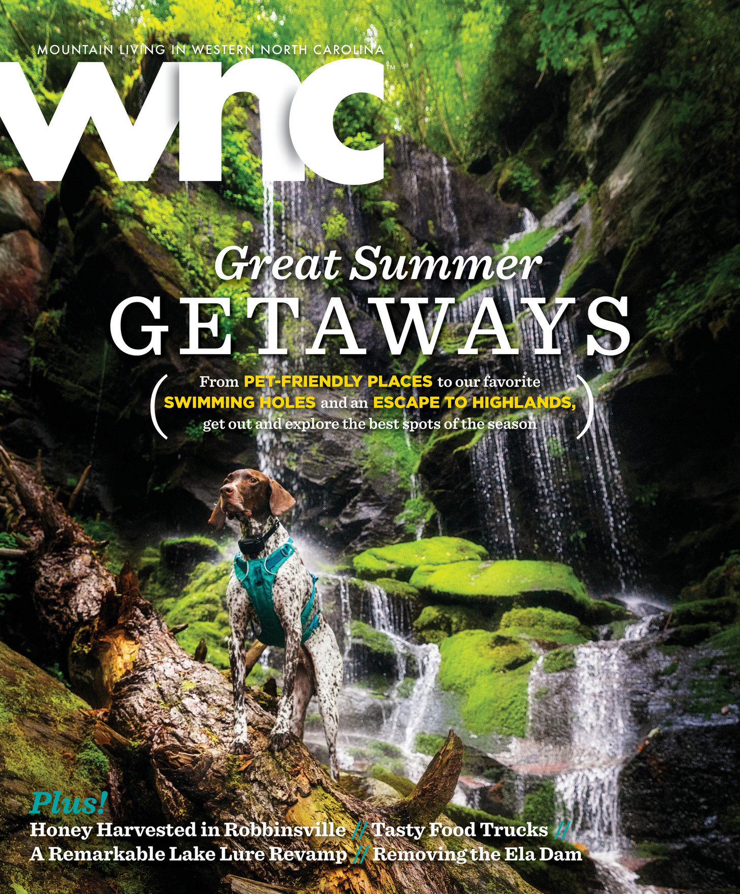 GULFSTREAM COMMUNICATIONS WNC magazine Summer 2023 Page 1